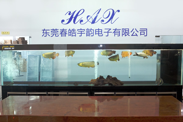 Showroom